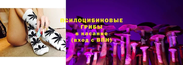 гашик Арсеньев