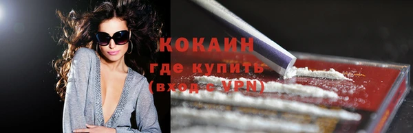 гашик Арсеньев