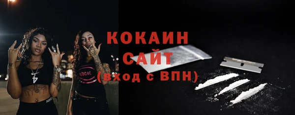 гашик Арсеньев