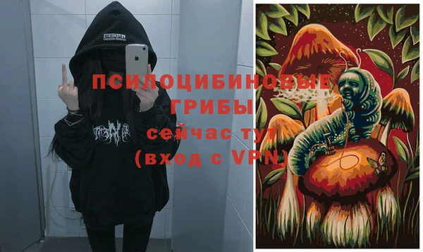 гашик Арсеньев